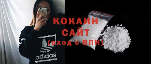 эйфоретик Бородино