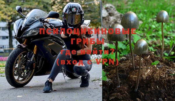 ГАЛЛЮЦИНОГЕННЫЕ ГРИБЫ Верхний Тагил
