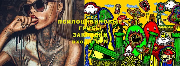 гидропоника Бугульма