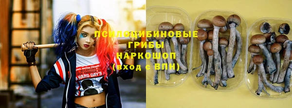 прущая мука Сатка