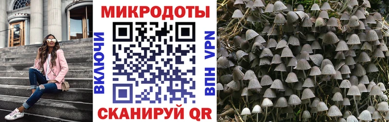 Псилоцибиновые грибы Psilocybe  hydra ONION  Семёнов 